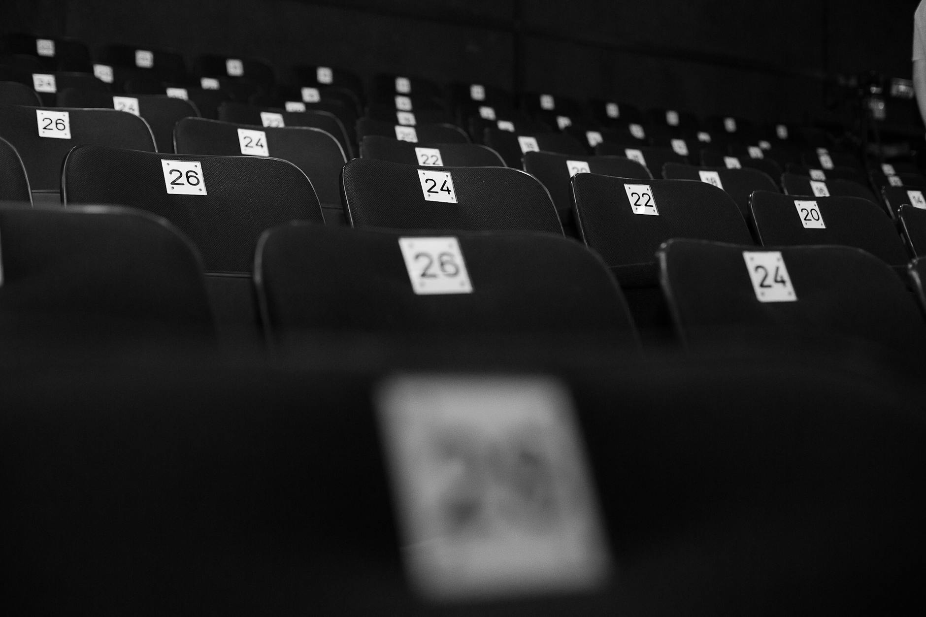 The Absence That Defined the Victory