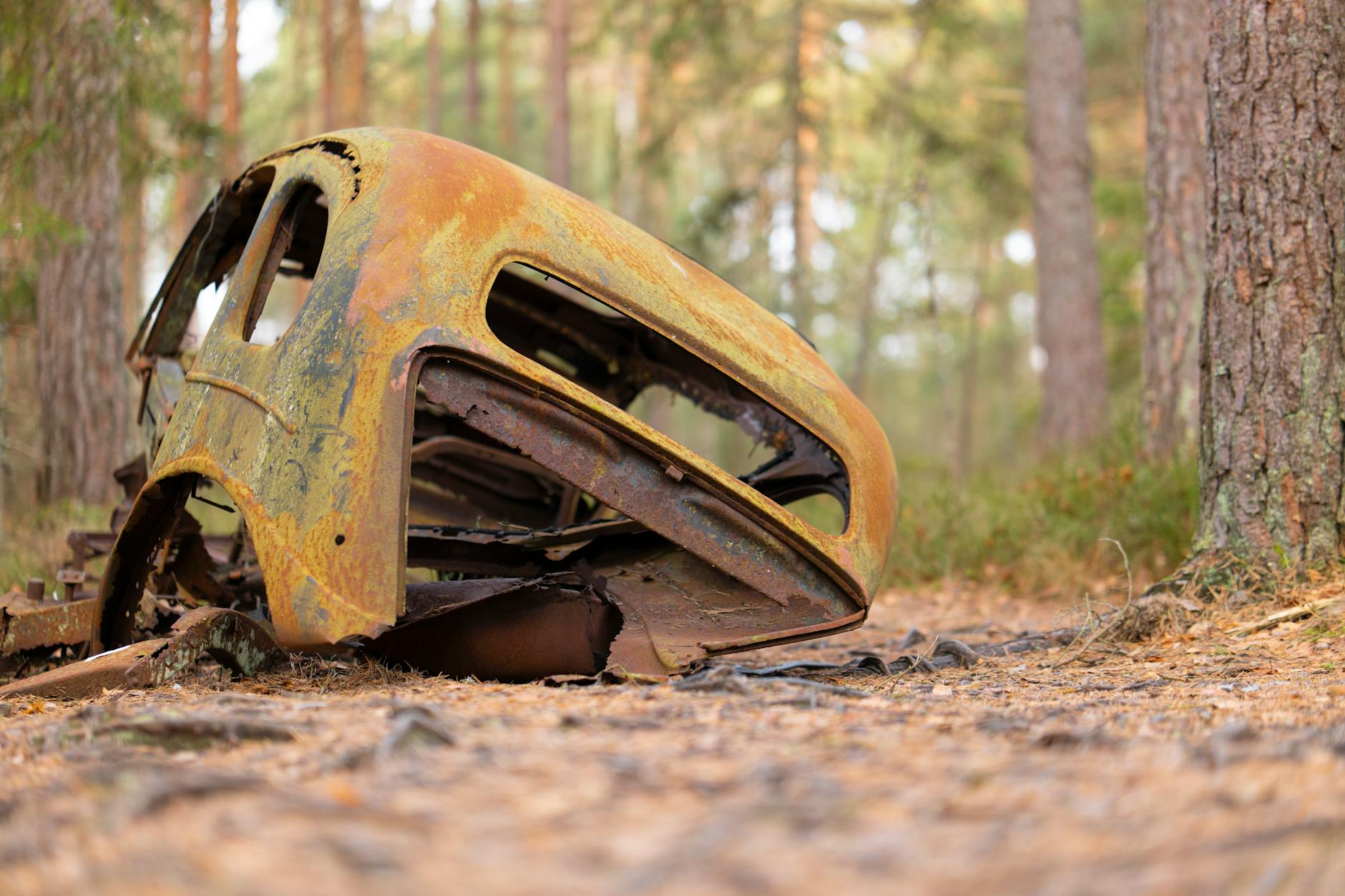 The Critical Legacy and Why 82/100 Remains Significant Decades Later