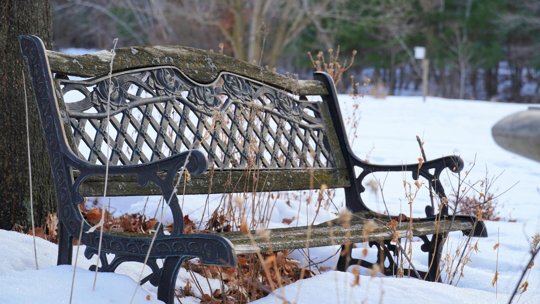 The Deep Bench—Lesser-Known Titles Building Credible Buzz