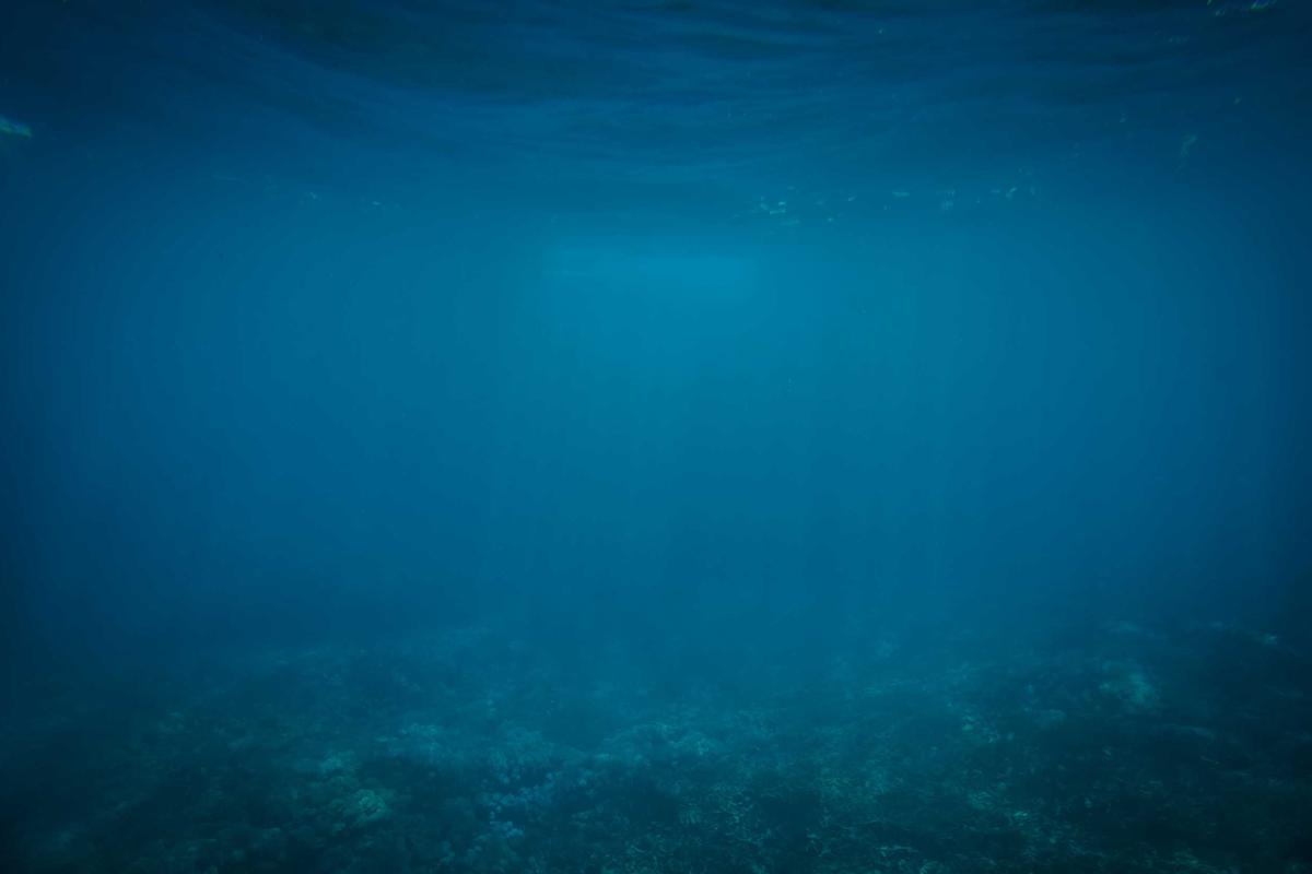 The Role of Director Prestige in Elevating Performances