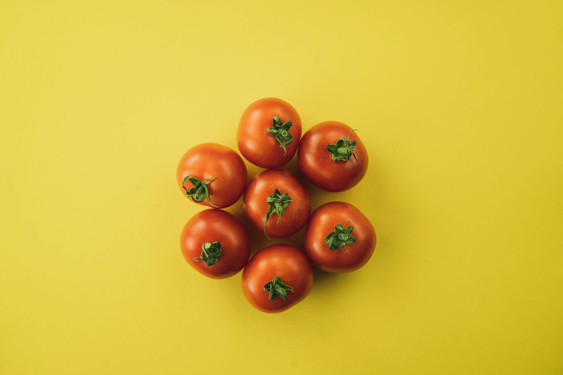 The Rotten Tomatoes Consensus And What It Tells Us About Critics' Assessment
