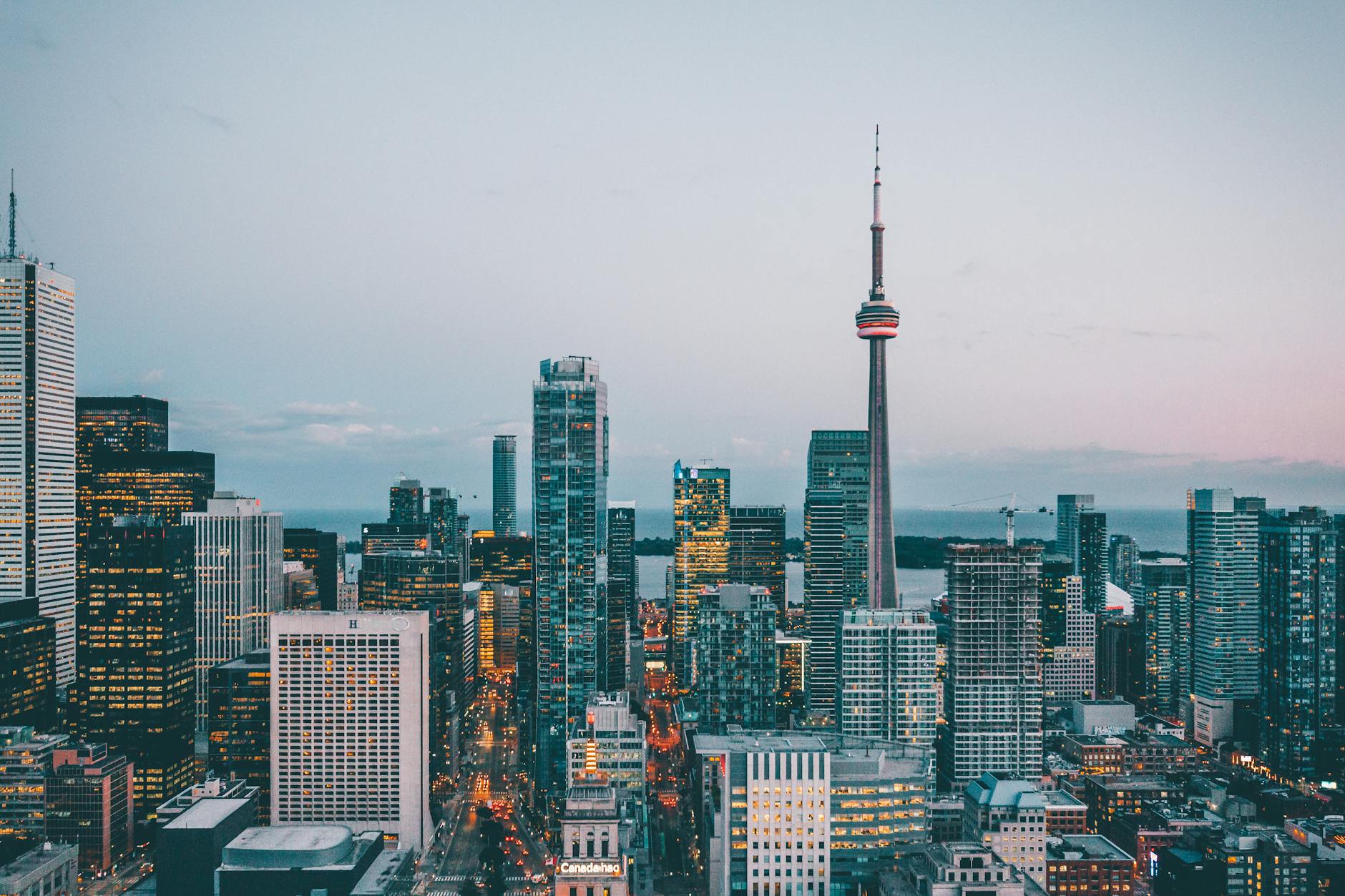 The Standing Ovation at Toronto: Critical Reception vs. Audience Response