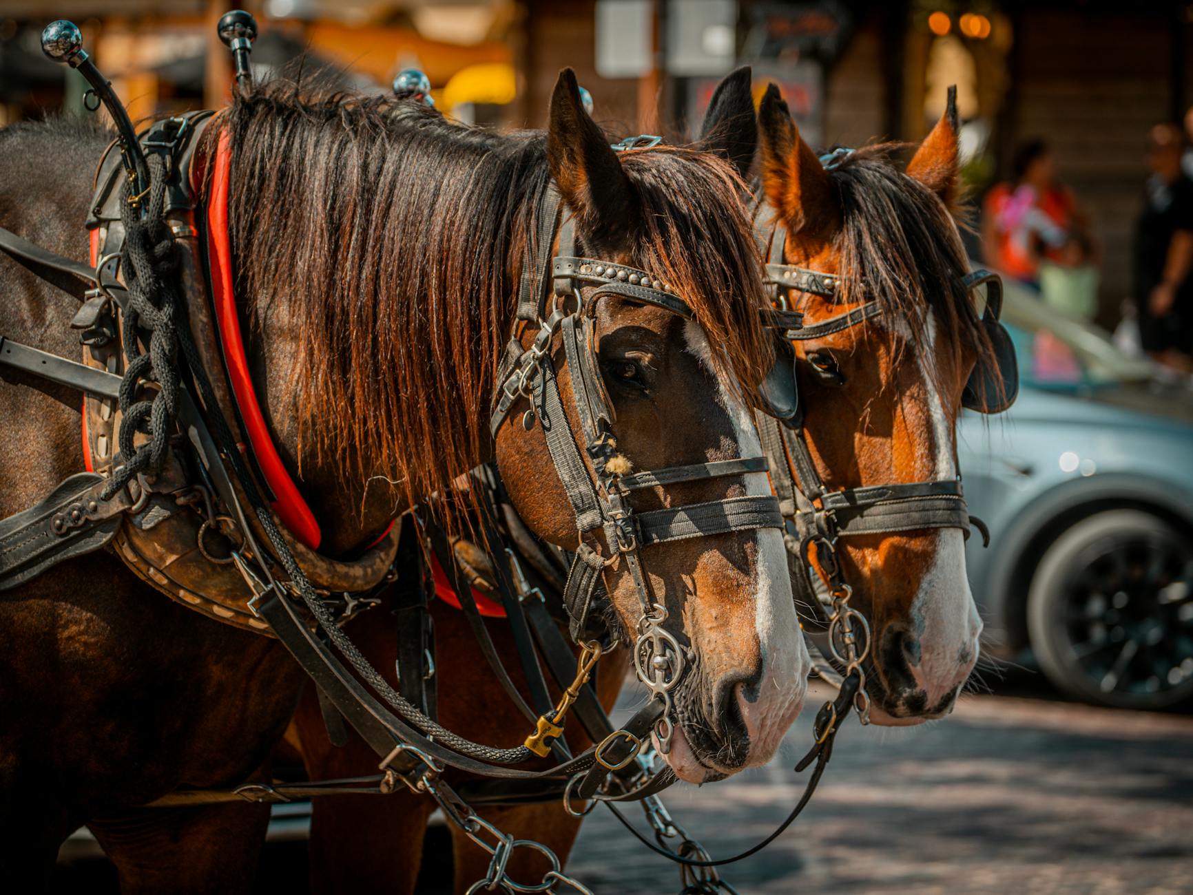 The Streaming Originals That Broke Through in 2025