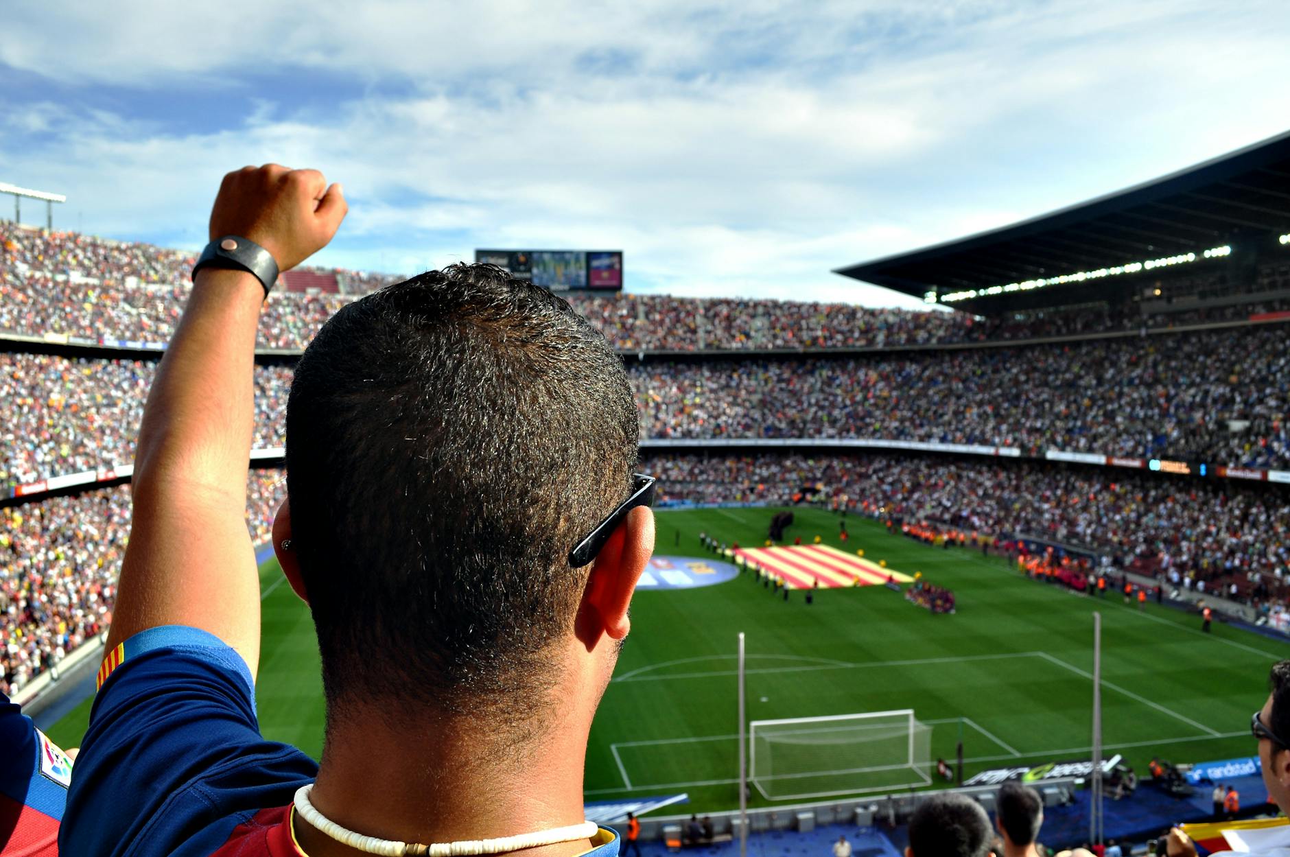 Understanding the Audience Score and Fan Reception