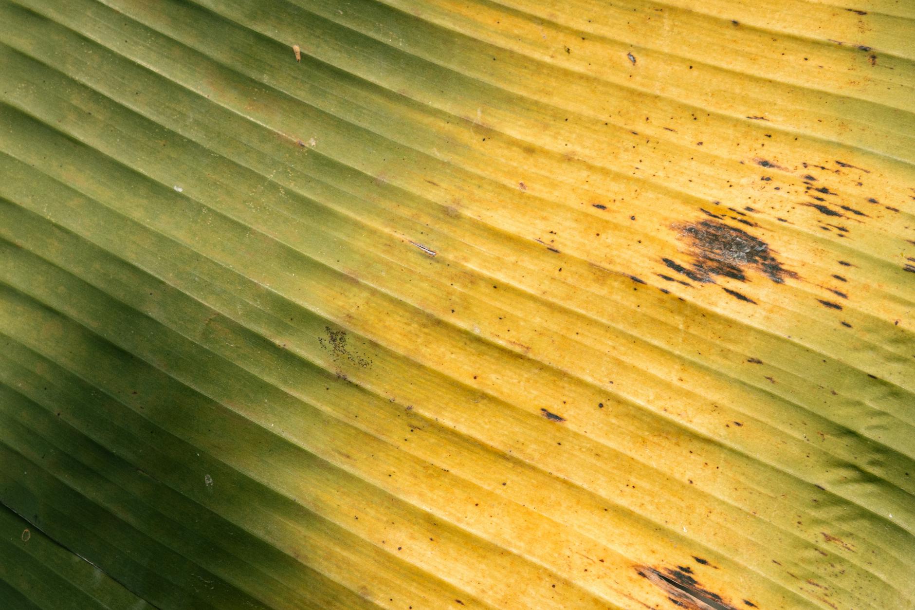 What Are the Biggest Box Office Surprises of Early 2026?