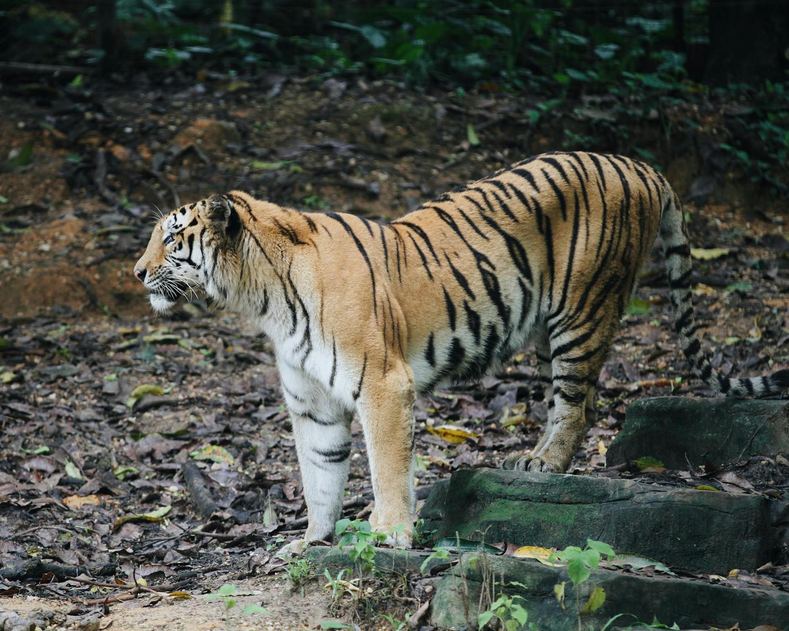 What Are the Biggest Casting Controversies in 2026 Movies?