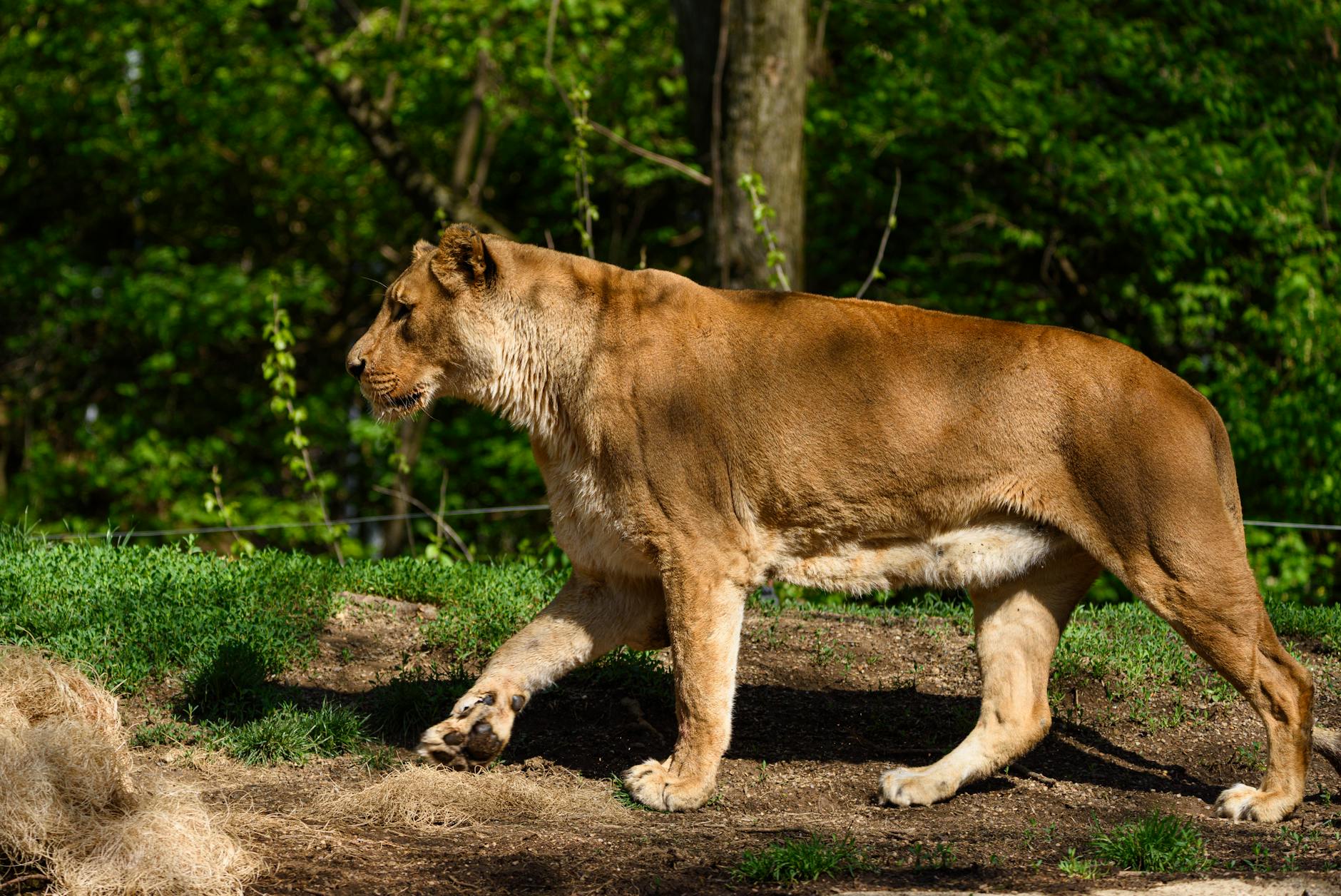 What Are the Biggest Movies Releasing in Mid-2026 and What Should You Expect?