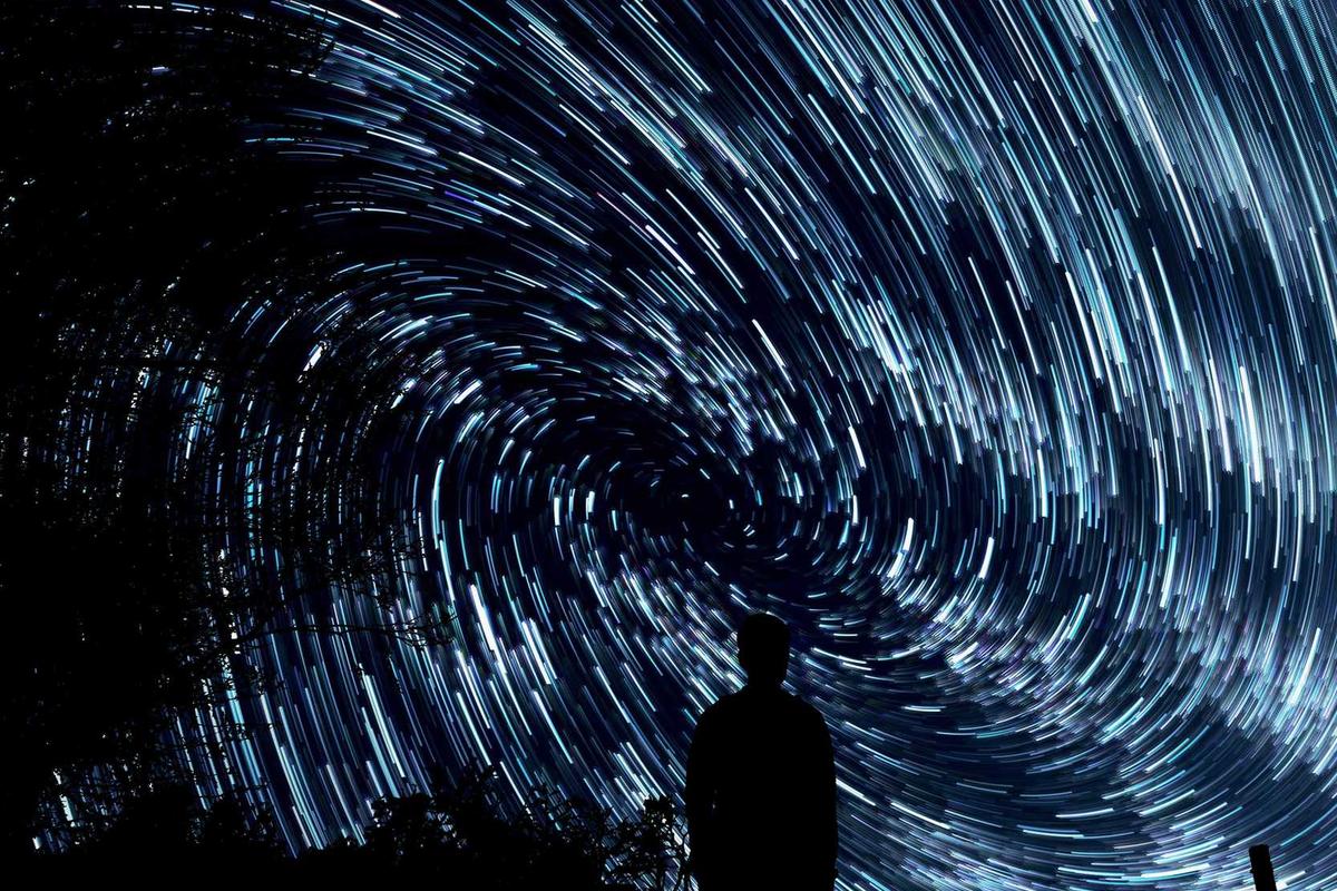 What Are the Limitations of Animated Films in the Viral Landscape?