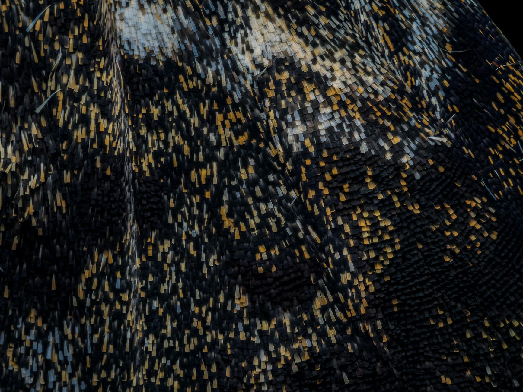 What Are the Major 2026 Films Exploring Authority and Rebellion?