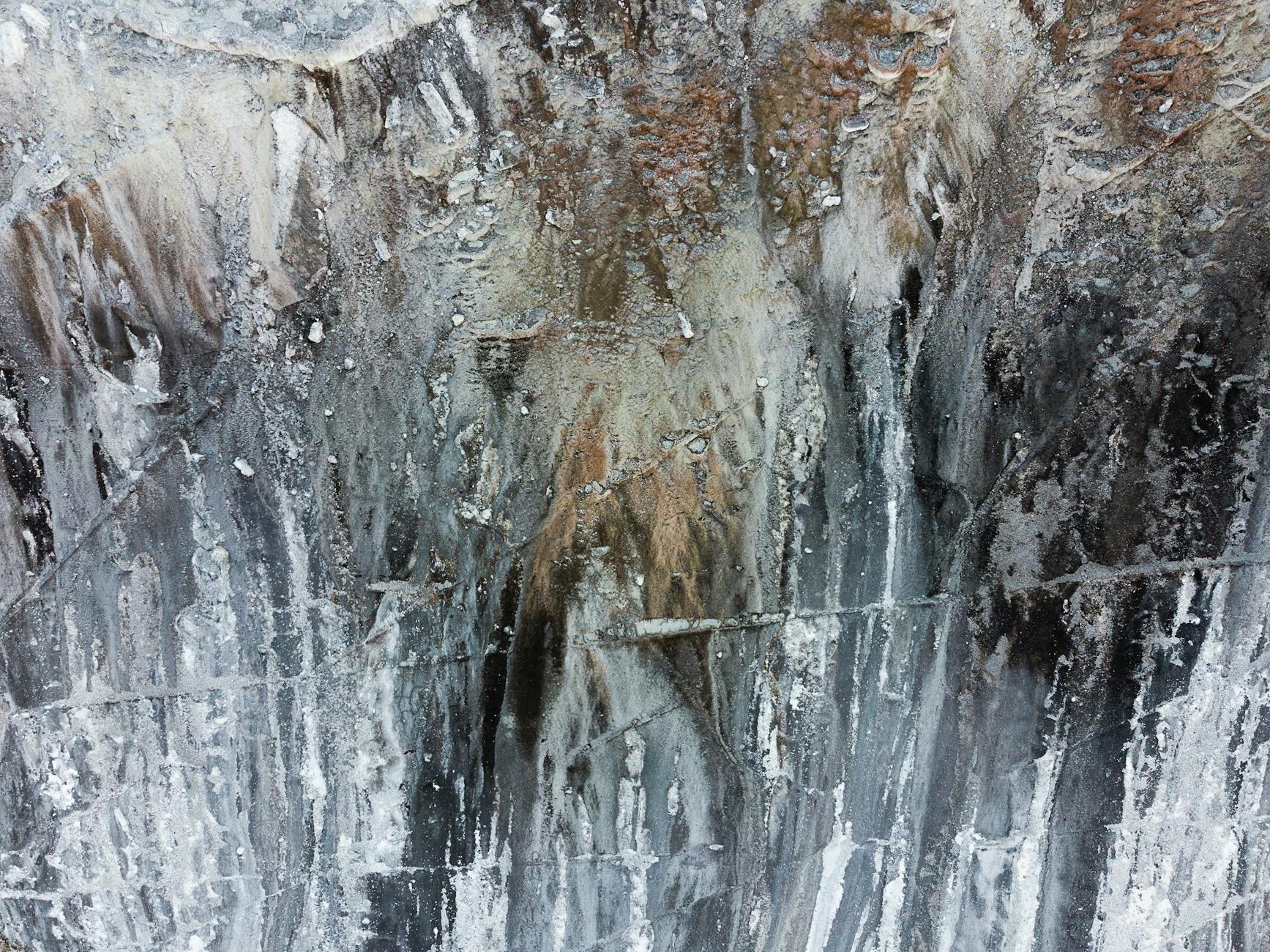 What Are the Major Dance-Themed Film Releases in 2026?