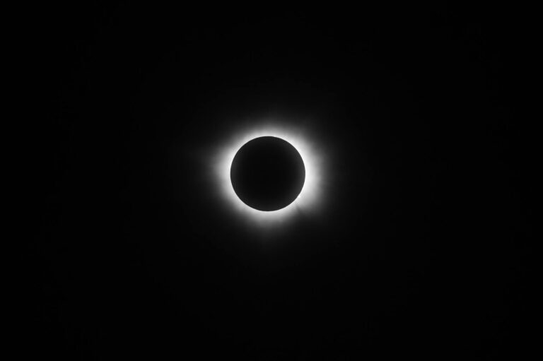 What Are the Top Total Viewership Shows Worldwide - Featured image