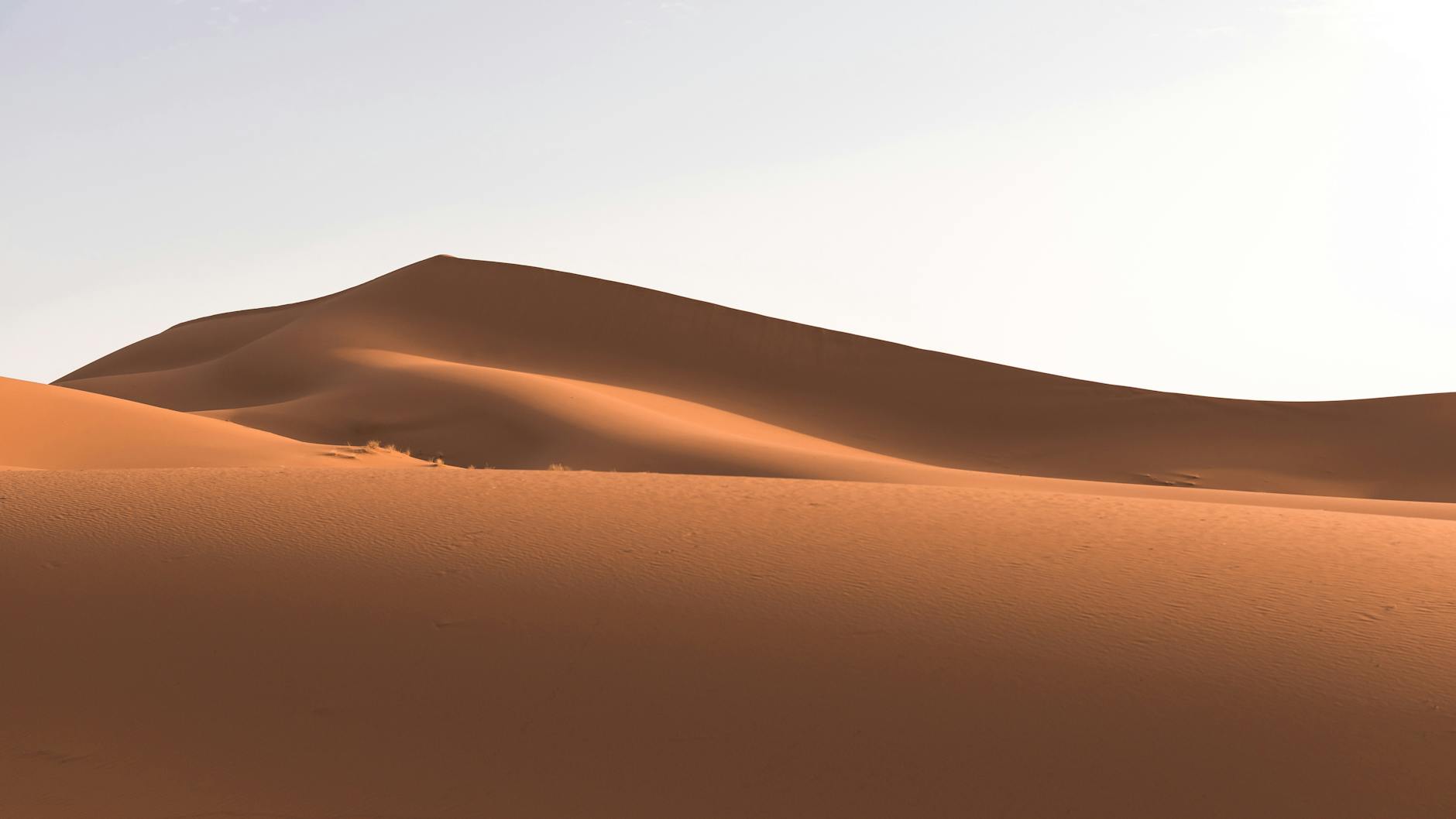 What Did Critics Specifically Praise About Dune: Part Two?