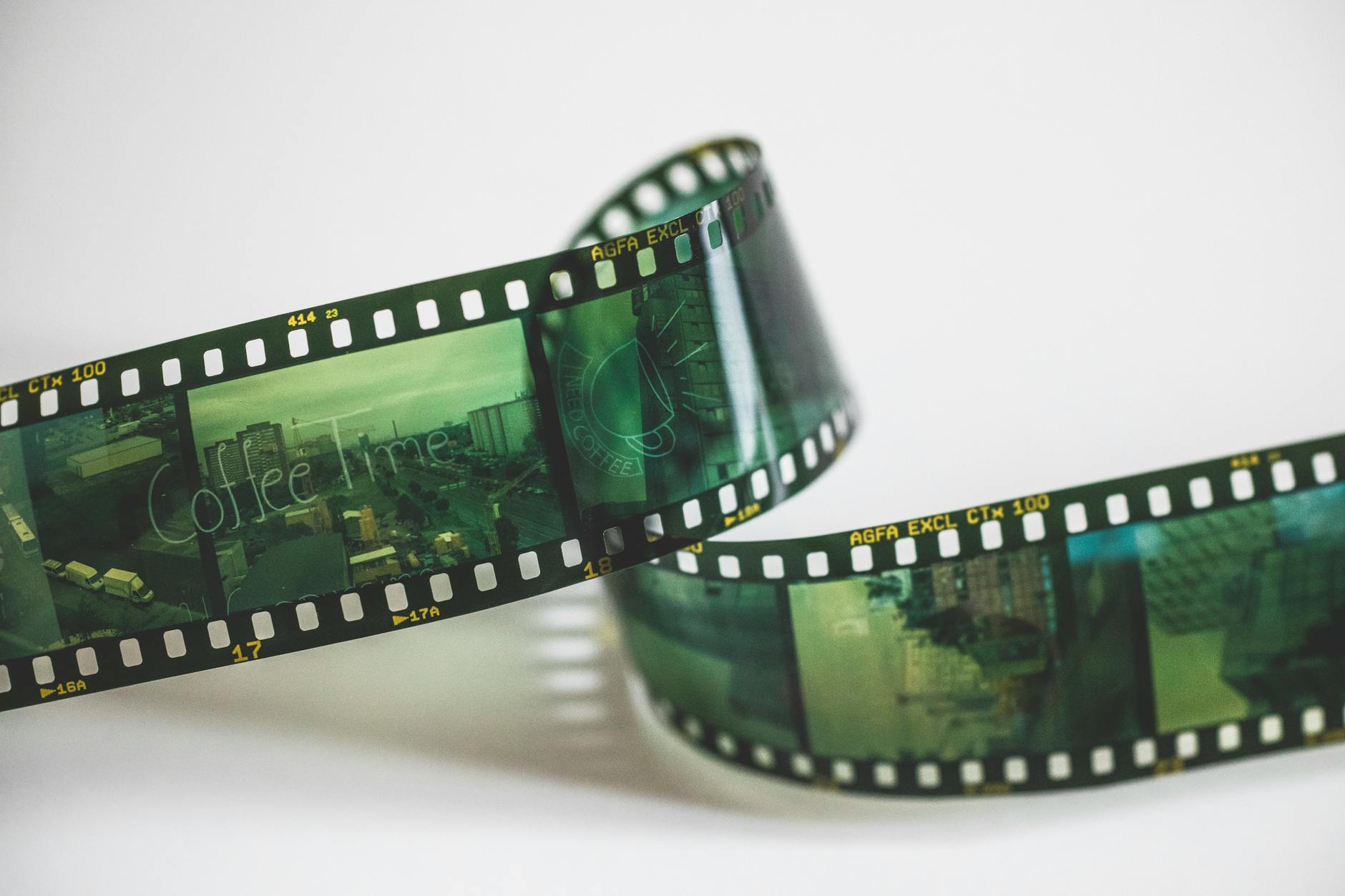 What Does the 95% Audience Score Reveal About the Film's Impact?