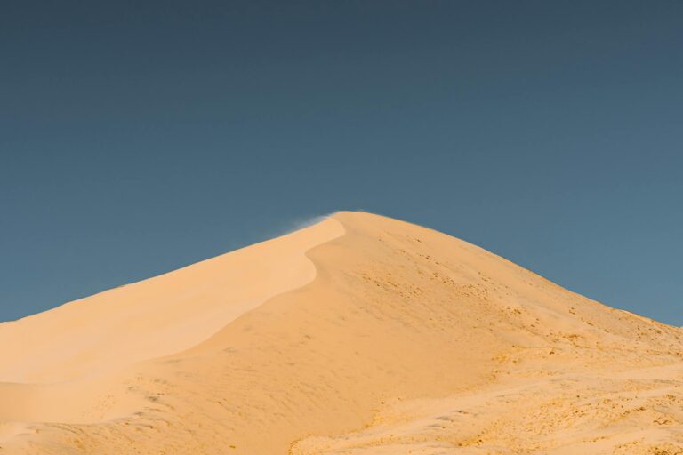 Cinemascore Dune Part - What Is the CinemaScore for Dune Part Two