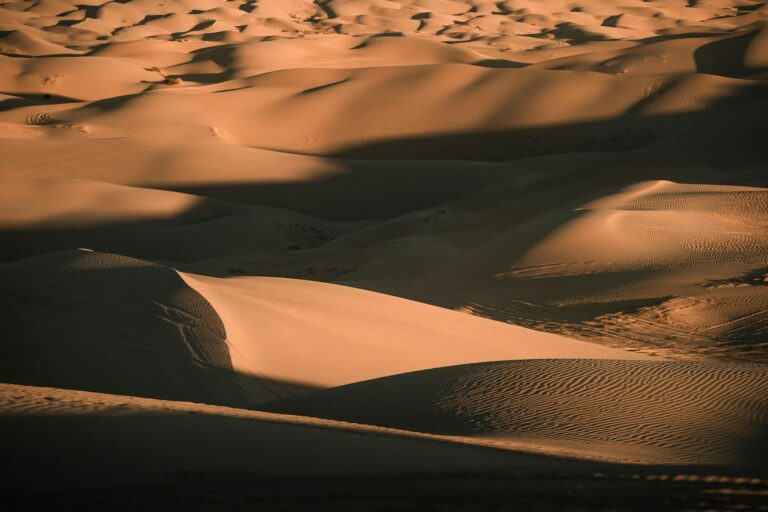Imdb Rating Dune - What Is the IMDb Rating for Dune Part Two