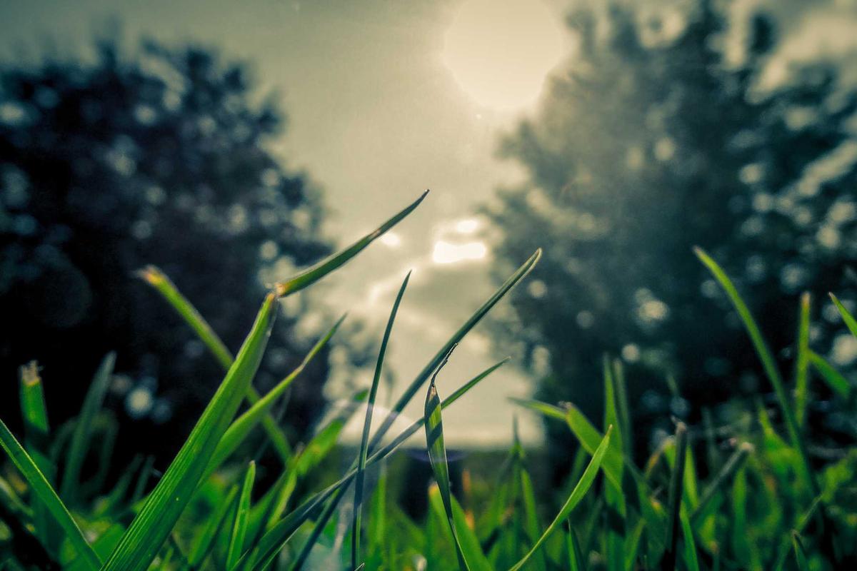 What's Driving the Intensity of Oscar Discussions This Year?