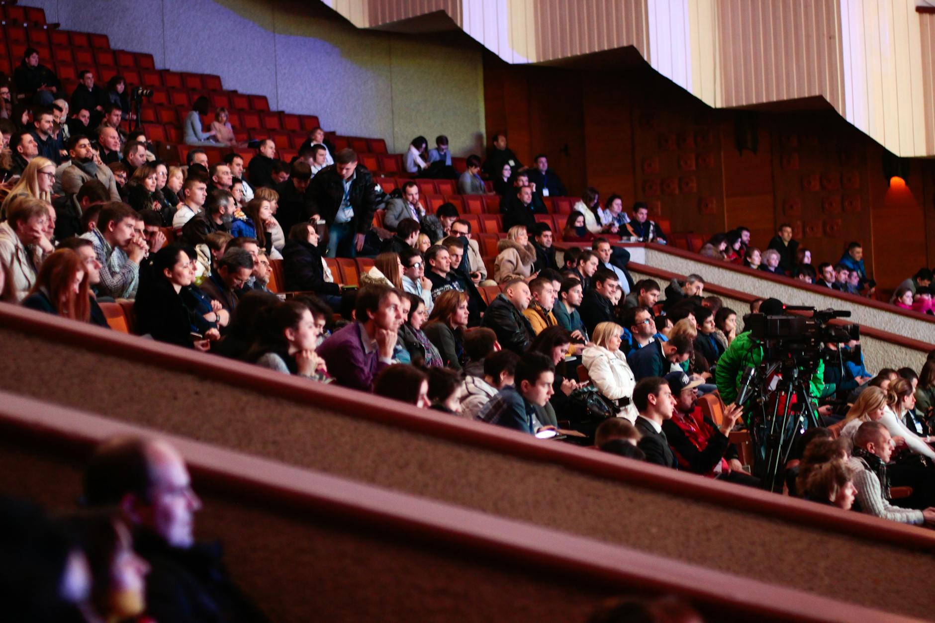 What This Reception Says About Audience Connection to the Film