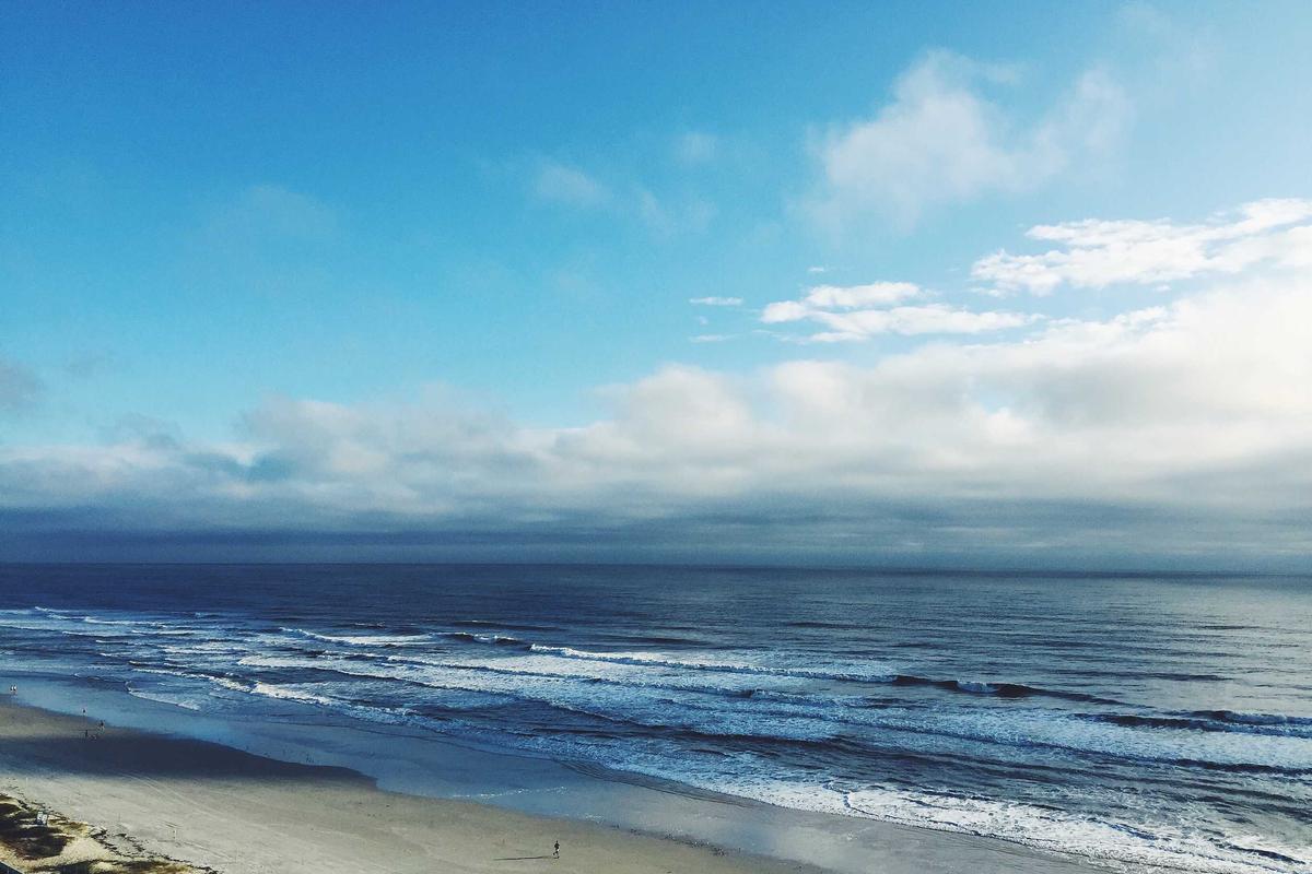 Which 2026 Movies Feature the Largest Ensemble Casts?