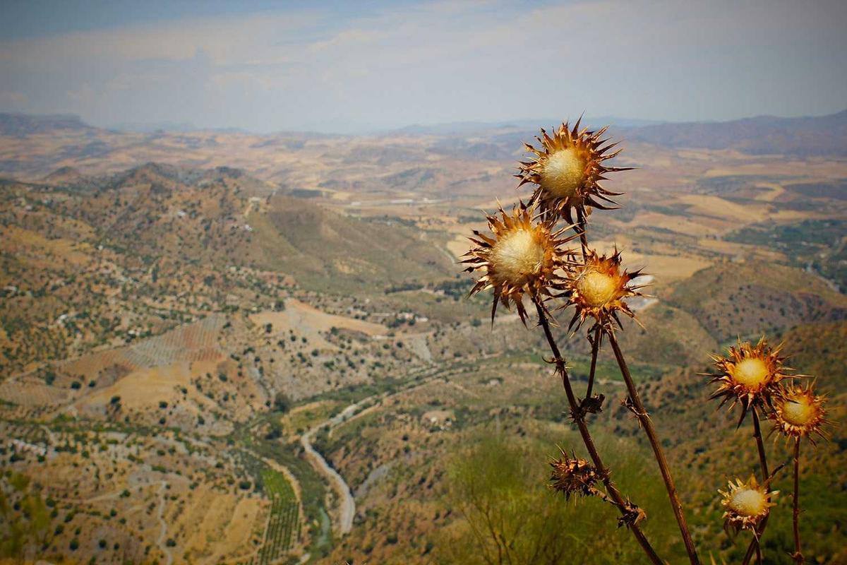 Which 2026 Movies Have the Strongest Chemistry Between Their Leads?