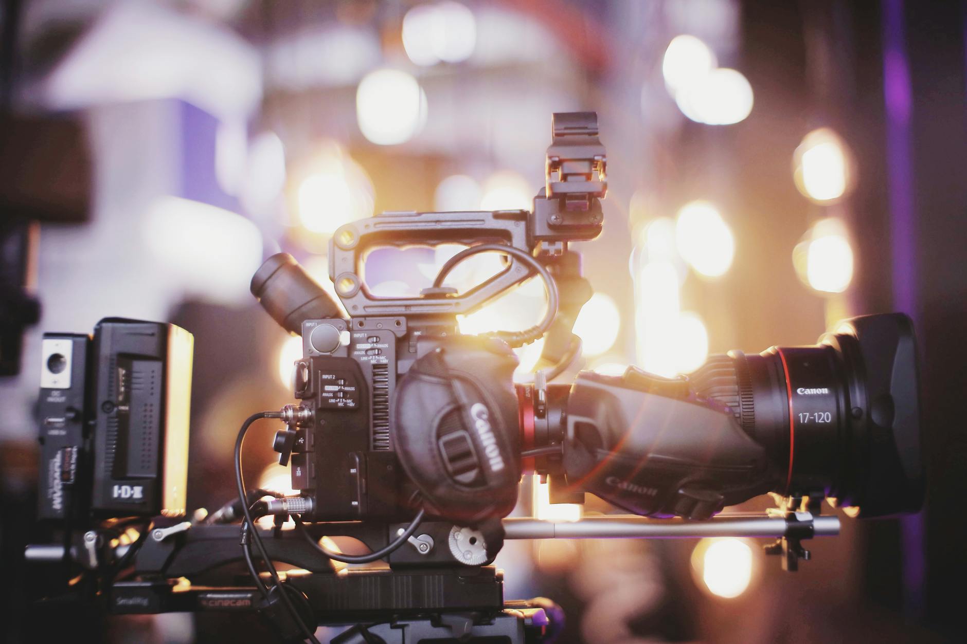 Which Films Did Critics Identify as the Main Frontrunners?