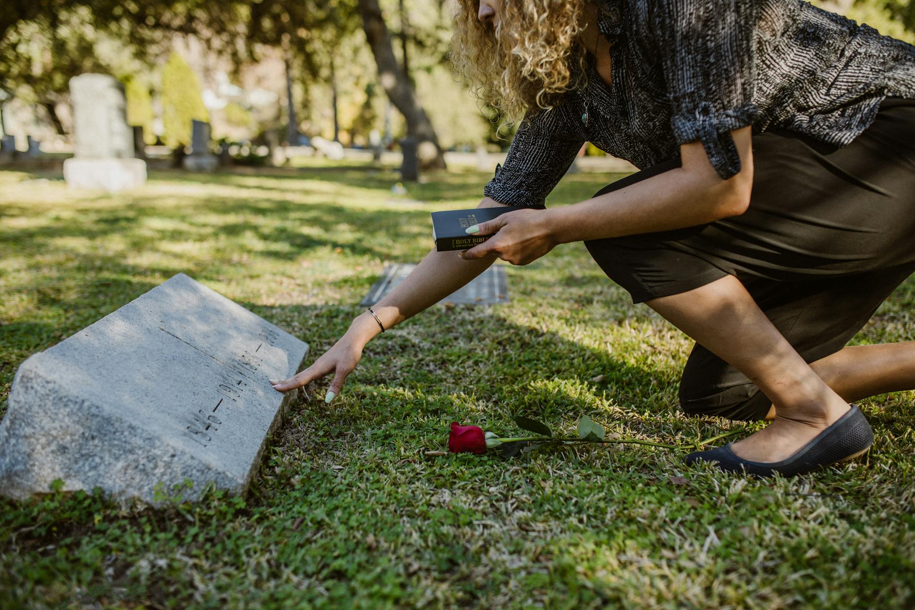 Why Are Emotional Stories About Loss and Connection Resonating with 2026 Audiences?