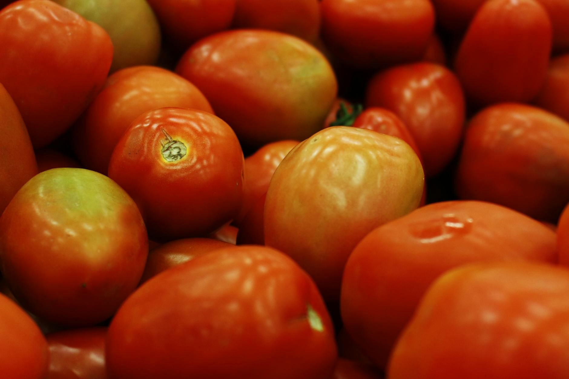 HOW DO ROTTEN TOMATOES CRITIC AND AUDIENCE SCORES DIFFER?
