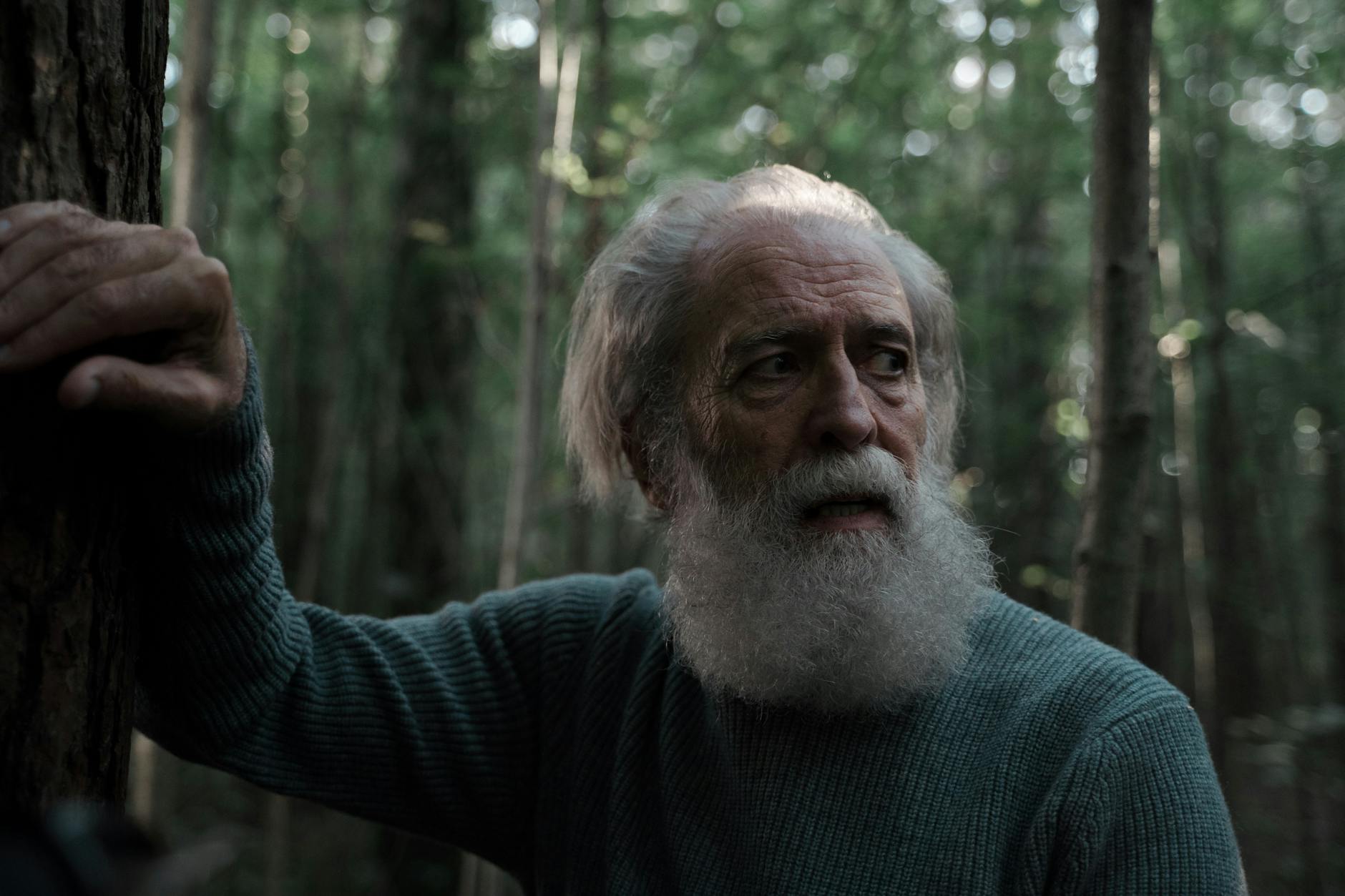 Steven Spielberg's Recent Metacritic Performance and What to Expect