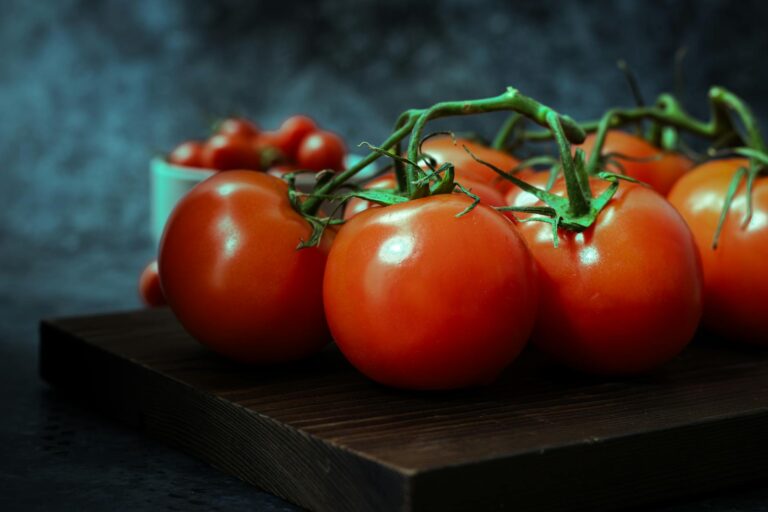 Imdb Rating Rotten - What Is the IMDb Rating vs Rotten Tomatoes Score for The Dark Knight