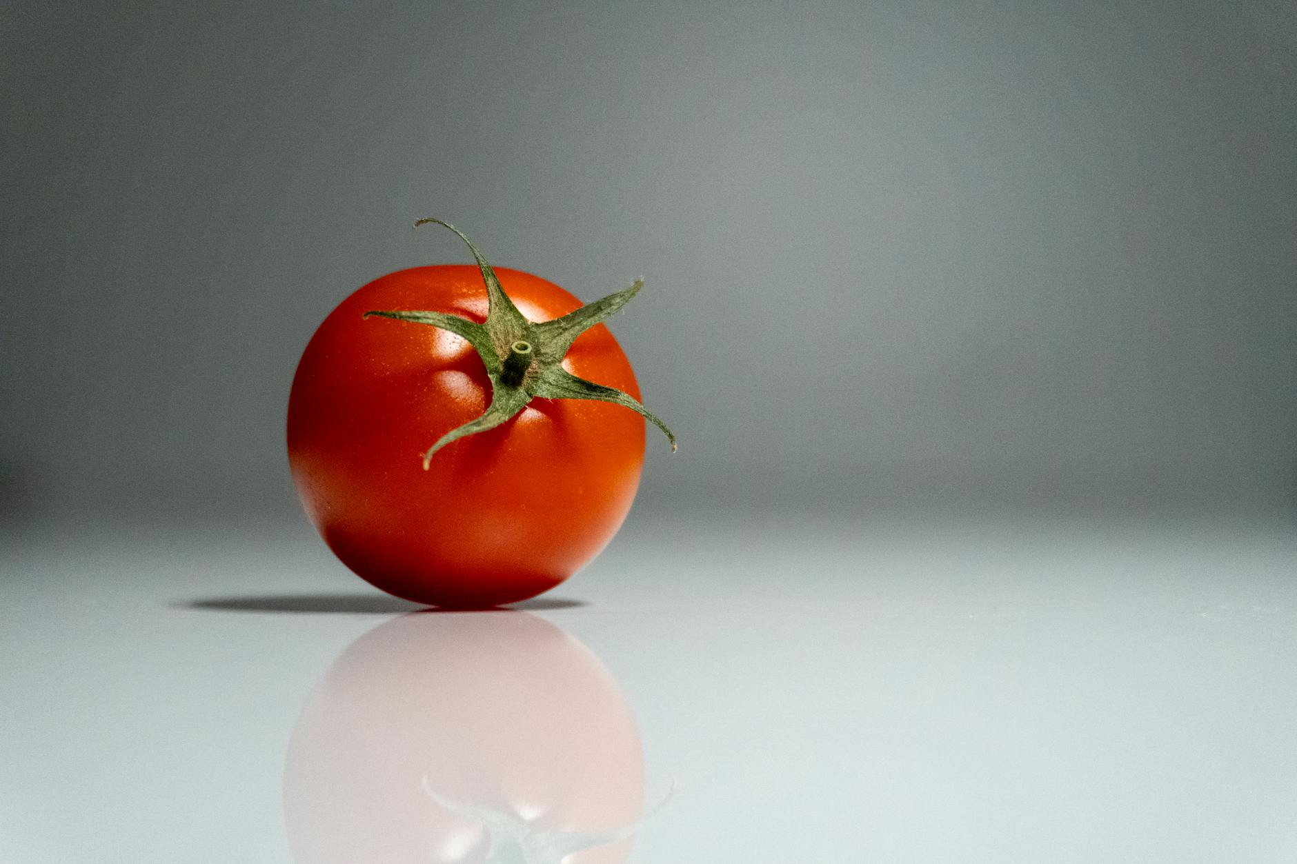 Imdb Rating Rotten - What Is the IMDb Rating vs Rotten Tomatoes Score for Project Hail Mary