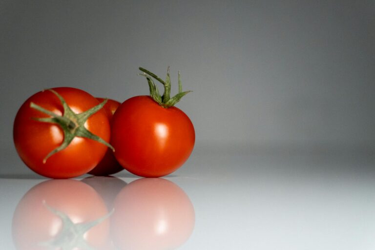 Rotten Tomatoes Critic - What Is the Rotten Tomatoes Critic Score vs Audience Score for Inception