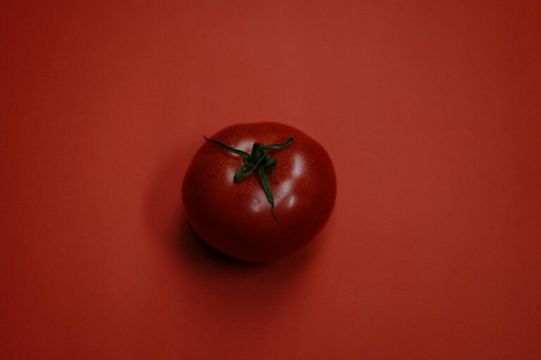 Rotten Tomatoes Critic - What Is the Rotten Tomatoes Critic Score vs Audience Score for Parasite