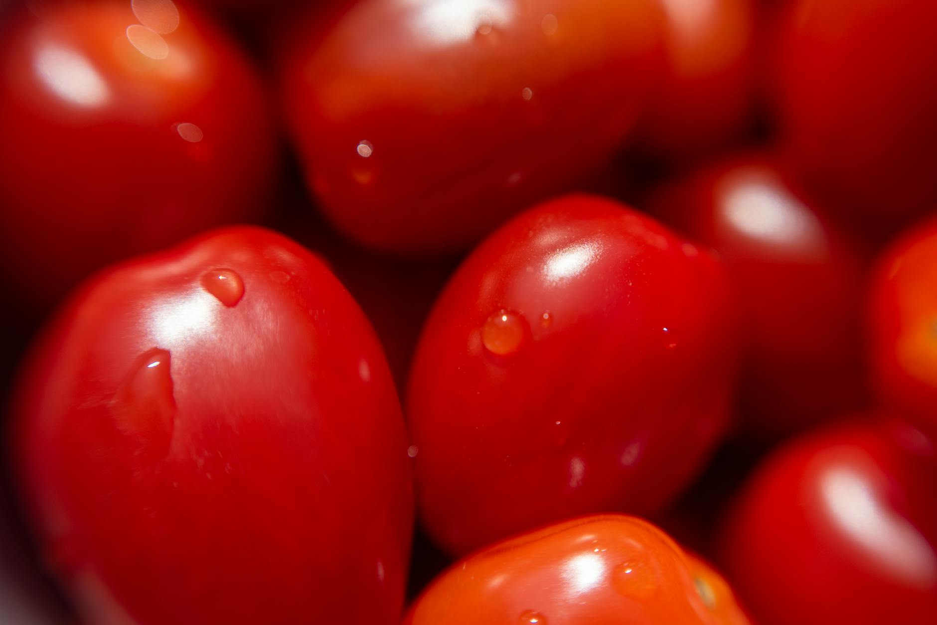 HOW THE ROTTEN TOMATOES SCORING SYSTEM WORKS