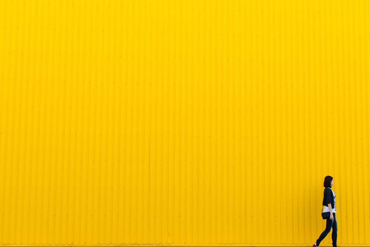 The Limitations of Relying Solely on IMDb Ratings for Film Evaluation