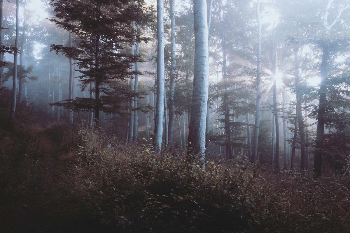 Understanding Annihilation's 6.8 IMDb Rating and What It Means