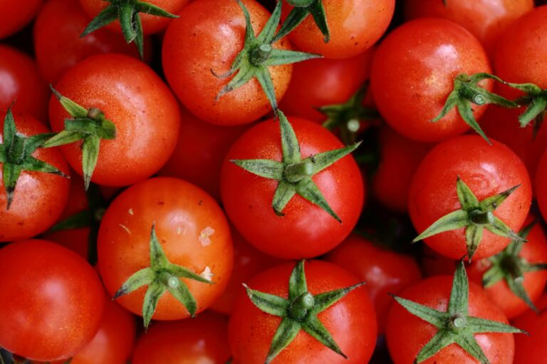 Rotten Tomatoes Score - What Is the Rotten Tomatoes Score for The Marvels