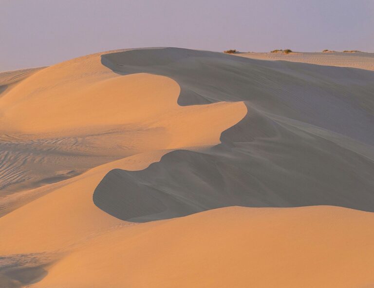 Dune: Part Two Book Vs Movie: Biggest Changes Explained - Featured image