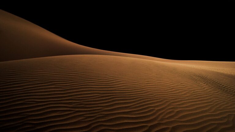 Dune: Part Two Cast Guide: Every Character Explained - Featured image