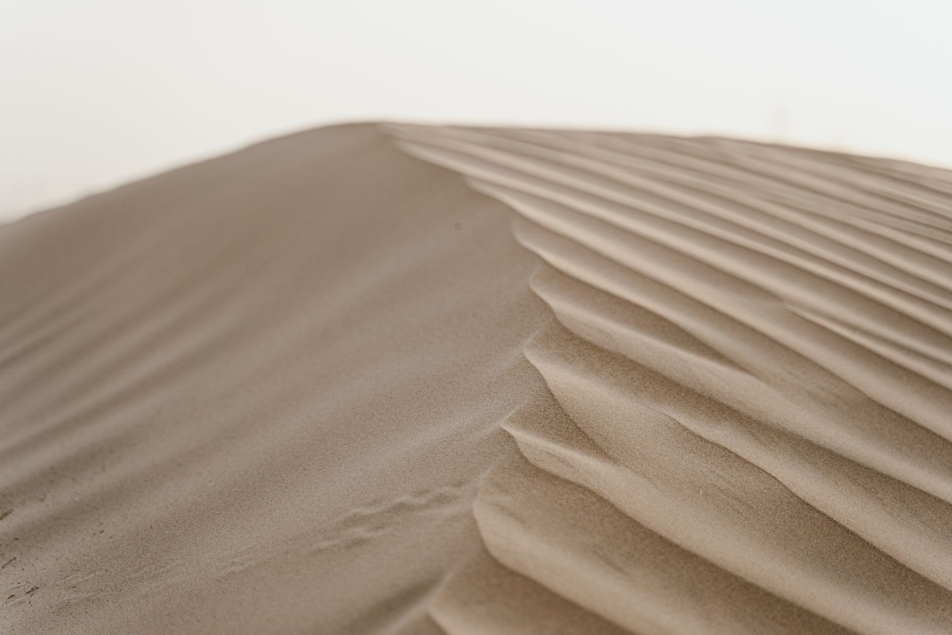 Dune: Part Two Ending Explained: What Happens To Paul Atreides? - Featured image
