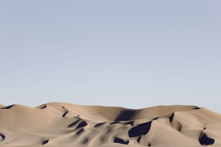 Dune: Part Two Similar Sci-Fi Movies To Watch Next - Featured image