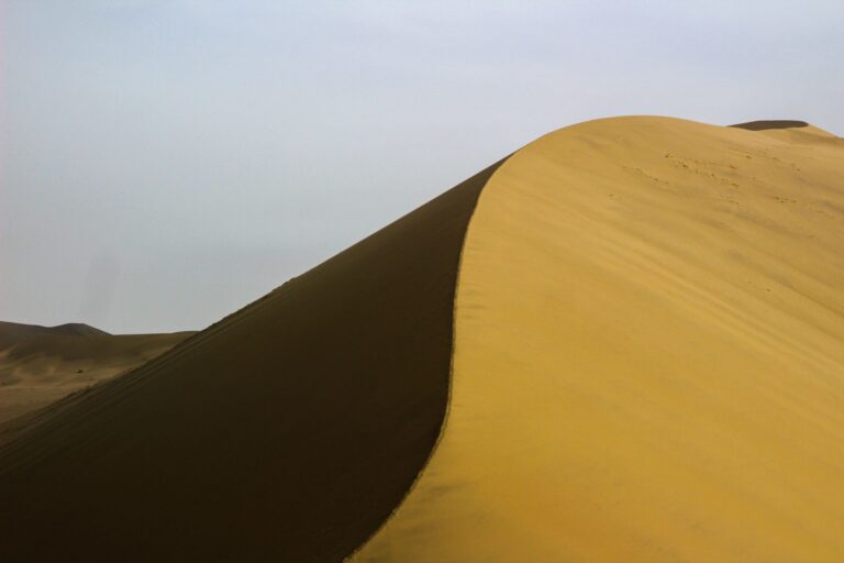 Dune: Part Two Streaming Date, Cast, Ending, And Latest Updates - Featured image