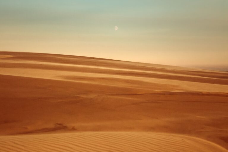 Dune: Part Two Streaming Guide: Where It Is Available - Featured image