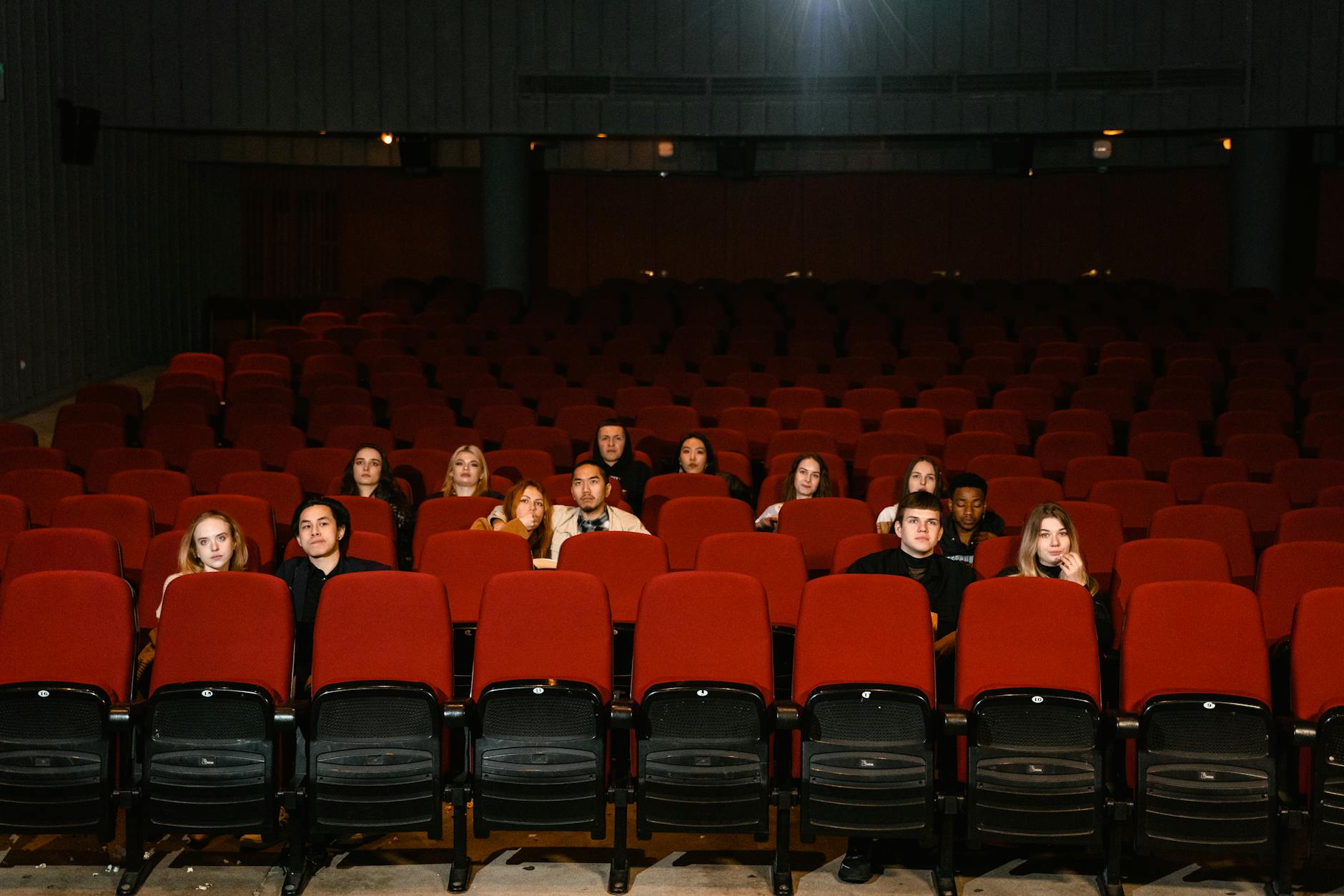 International Movies Watch - International Movies: Where to Watch and What to Expect