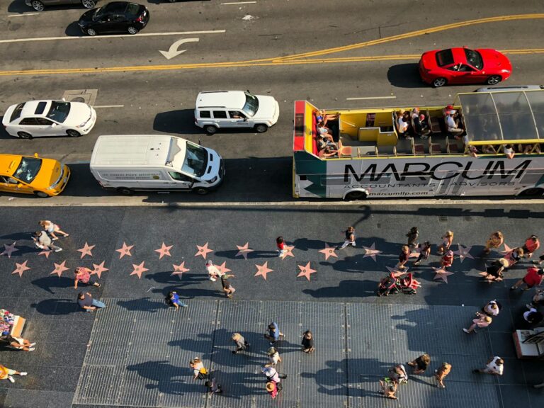 Internet Stars Hollywood - Internet Stars Hollywood: Where to Watch and What to Expect