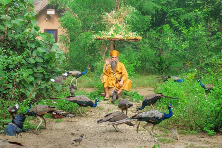 Peacock June 2026 - Peacock June 2026: Everything Viewers Are Searching for Right Now