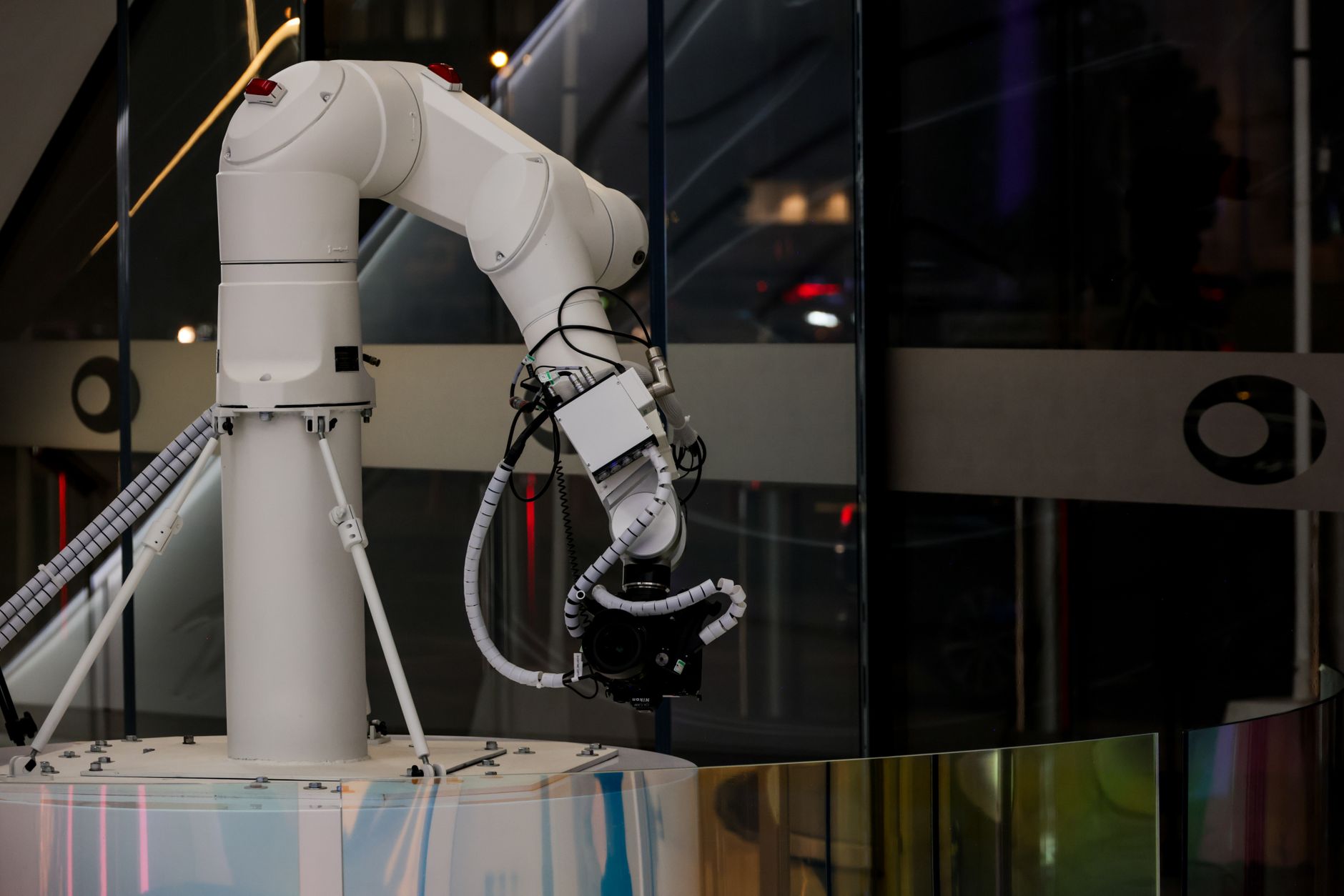 The Wild Robot Review: Is The Animated Movie Worth Watching? - Featured image