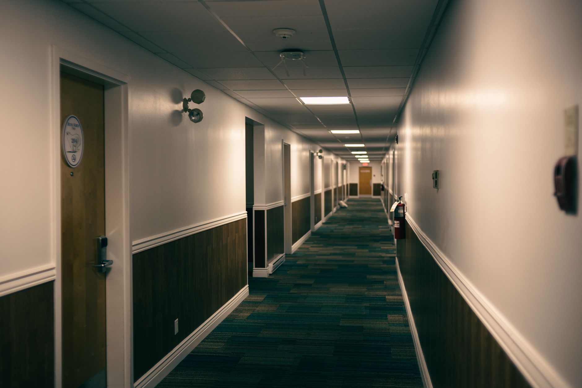 What You Need to Know About The Backrooms Release Dates