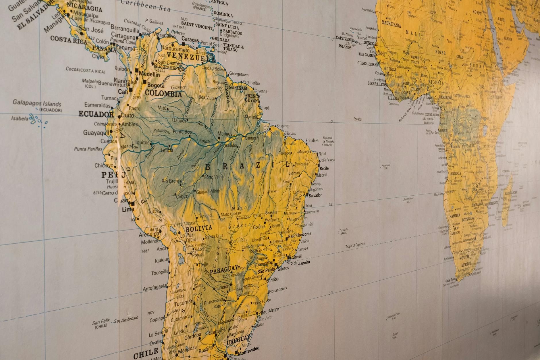 WHERE TO FIND INTERNATIONAL FILMS ACROSS STREAMING AND THEATRICAL RELEASES