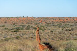 Back to the Outback Most Memorable Scene Breakdown - Featured image
