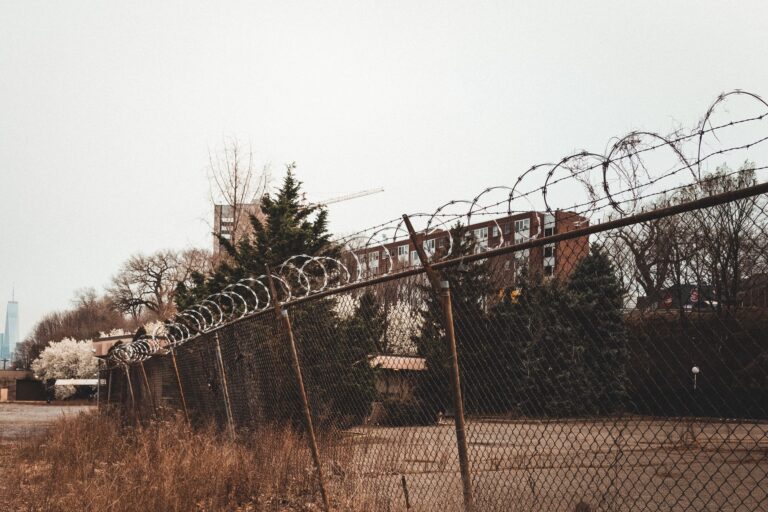 Barb Wire Emotional Turning Point Scene - Featured image