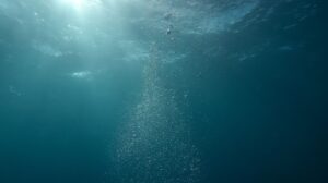 Deep Water Disaster Movie Review: Plane Crash Survivors Battle Sharks in New Film - Featured image